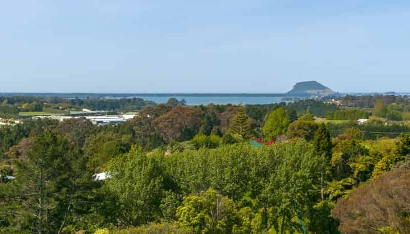 140B Minden Road, Te Puna