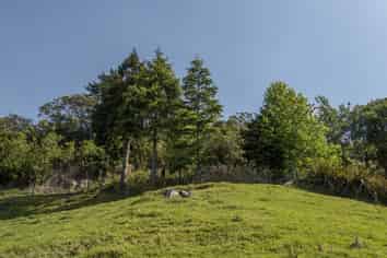 140B Minden Road, Te Puna