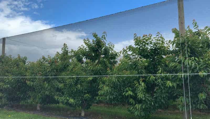 7 Mount Pisa Road, Cromwell