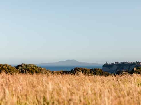 Auckland - Address withheld