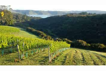 142 Te Kowhai Point Road, Kerikeri