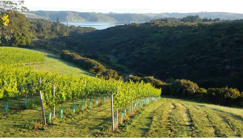 142 Te Kowhai Point Road, Kerikeri