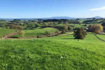 Lot 3 Bush Road, Otorohanga