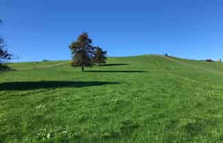 Lot 3 Bush Road, Otorohanga