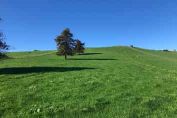 Lot 3 Bush Road, Otorohanga
