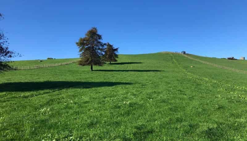 Lot 3 Bush Road, Otorohanga
