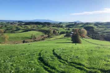 Lot 3 Bush Road, Otorohanga