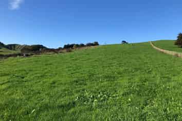 Lot 2 Bush Road, Otorohanga