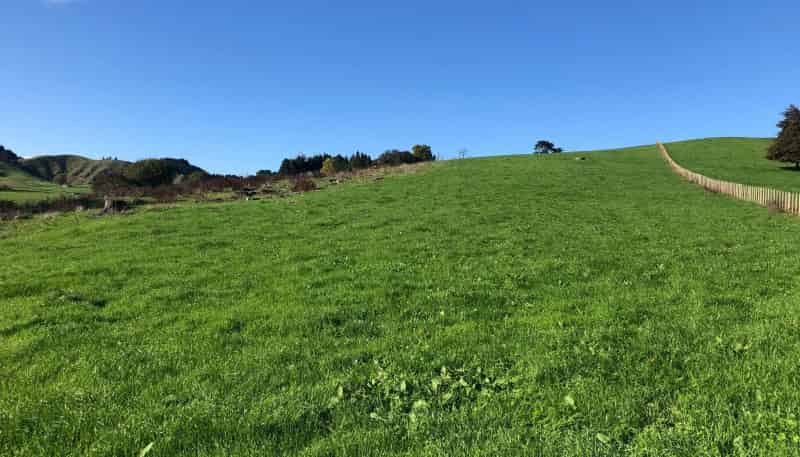 Lot 2 Bush Road, Otorohanga