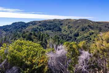  Ngahape Road, Masterton