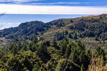  Ngahape Road, Masterton