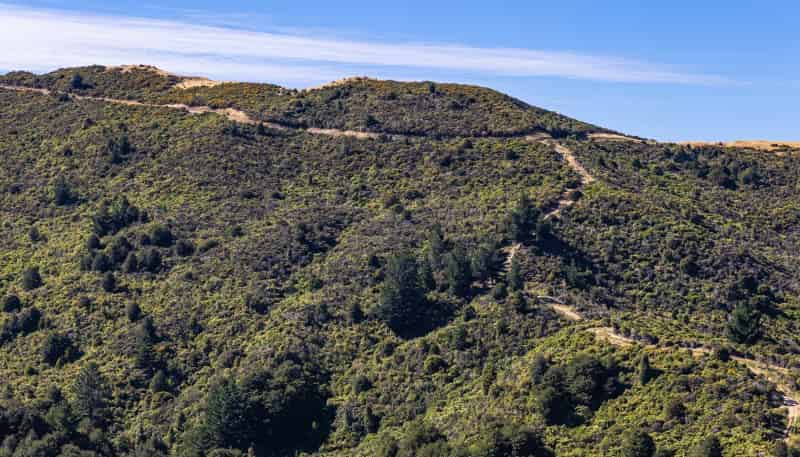  Ngahape Road, Masterton