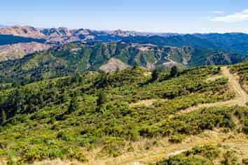  Ngahape Road, Masterton