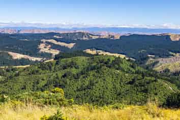  Ngahape Road, Masterton
