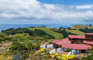 263E Ngatitangata Road, Waihi