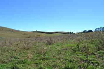 327 & 331 Dominion Road, Tuakau