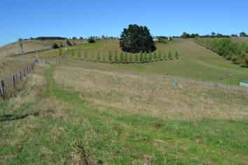 327 Dominion Road, Tuakau