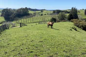 117 Ewing Road, Pokeno