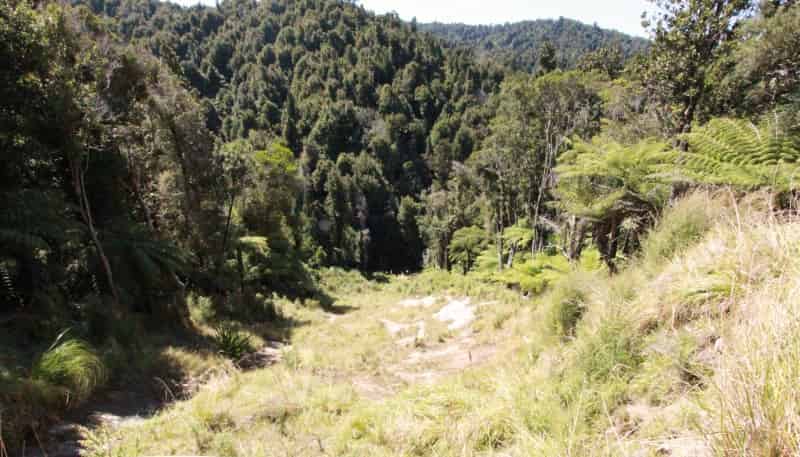 2552 Kauarapaoa Road, Brunswick