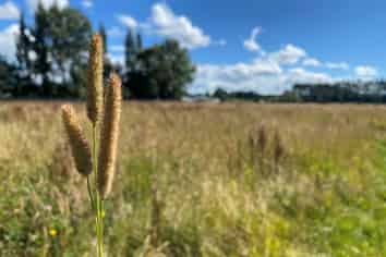  Oakland Street, Mataura