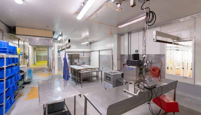 759 Kaikorai Valley Rd, Kaikorai