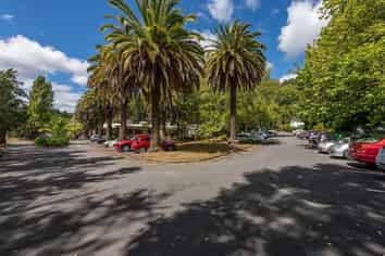 Investment With Options