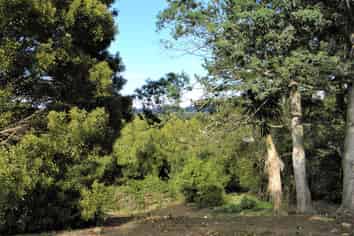  Newcastle Street, Hampden