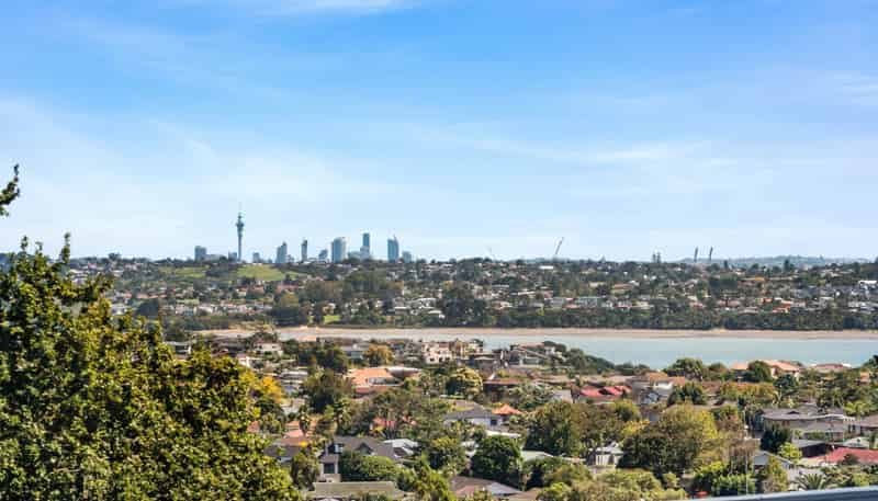 8 Etherege Place, Howick