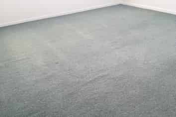 3E/15 Auburn Street, Takapuna