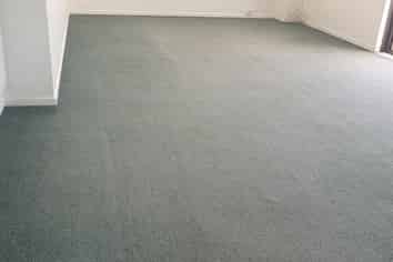 3E/15 Auburn Street, Takapuna