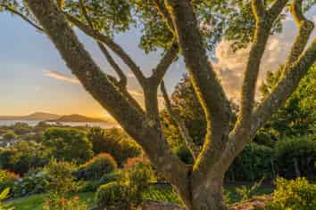 22 Flemington Place, Tikitere