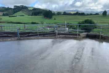 10 Farrelly Road, Waihi