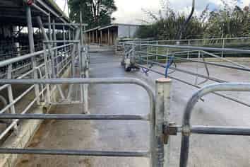 10 Farrelly Road, Waihi