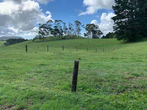 10 Farrelly Road, Waikino