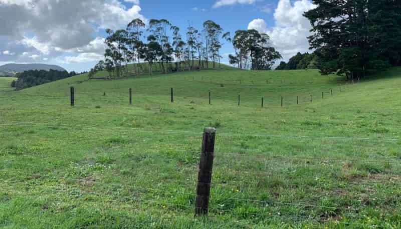 10 Farrelly Road, Waihi