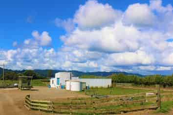 141A McCracken Road, Edgecumbe