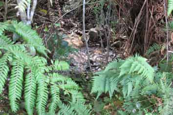 3012 State Highway 6, Barrytown