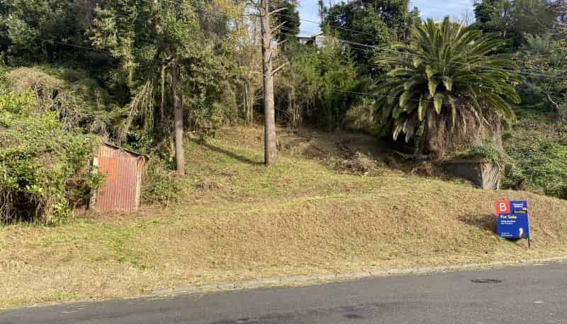 56 Ikitara Road, Wanganui East