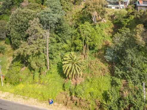 56 Ikitara Road, Wanganui East