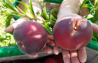 17 McCutchan Road, Otakiri