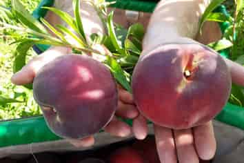 17 McCutchan Road, Otakiri