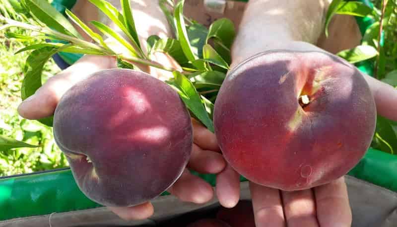 17 McCutchan Road, Otakiri