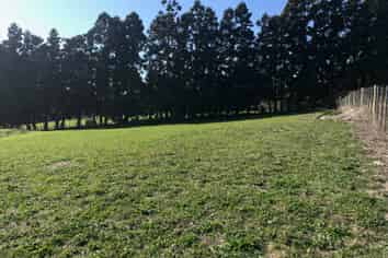 826 Coatesville Riverhead Highway, Riverhead