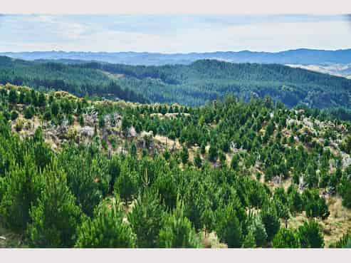  Maraenui Road, Nuhaka/Morere