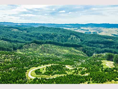  Maraenui Road, Nuhaka/Morere