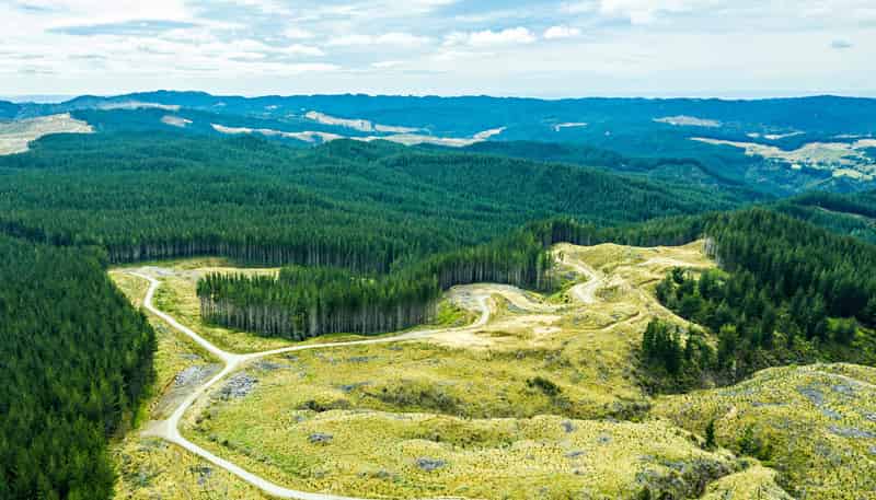  Maraenui Road, Nuhaka/Morere