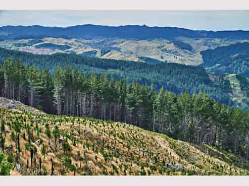  Maraenui Road, Nuhaka/Morere