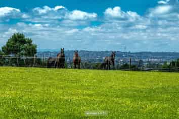 Lot 6/41&43 Diamond Lane, Riverhead