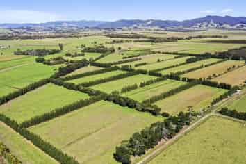 782 Gill Road, Kaitaia