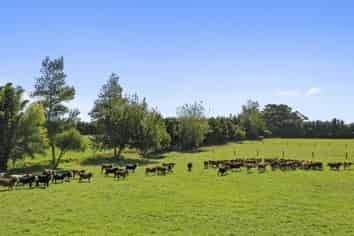 782 Gill Road, Kaitaia